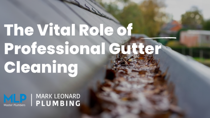 The Vital Role of Professional Gutter Cleaning